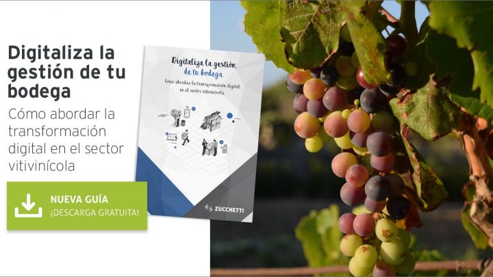 La transformación digital, una necesidad imperiosa en el sector vitivinícola