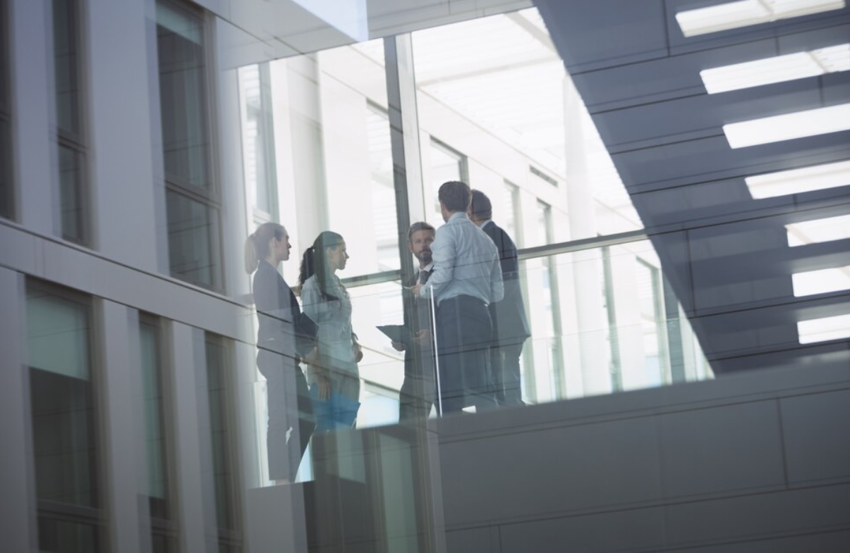 bases de cotizacion por ingresos reales 2025